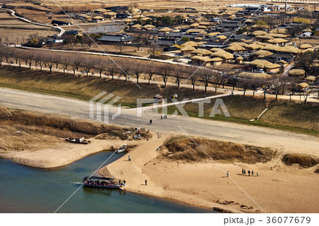 洛東江 河回村 慶北 36077679