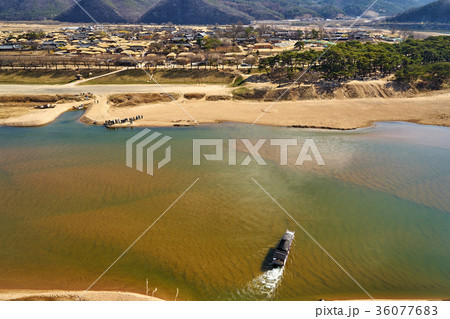 洛東江 河回村 慶北 36077683