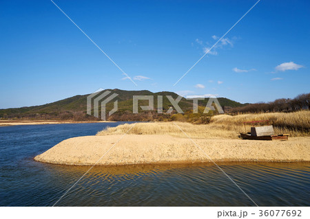 洛東江 河回村 慶北 36077692