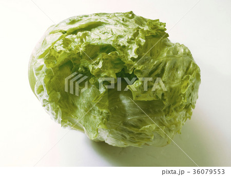 36079553