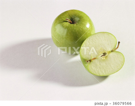 36079566