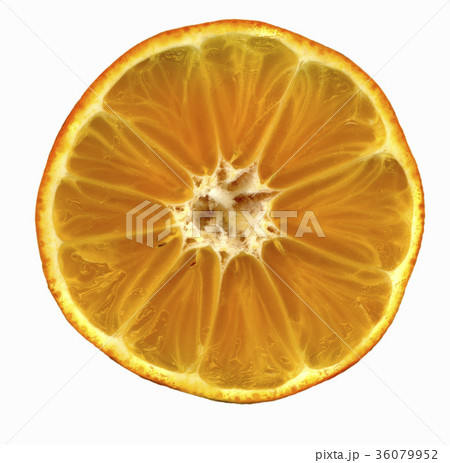 36079952