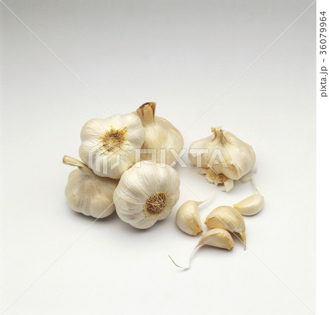 36079964