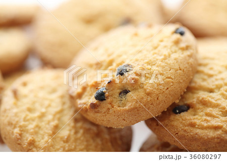 Chocolate chip cookie isolated in white background 36080297