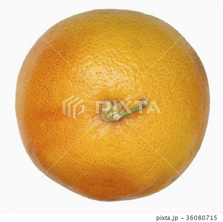 36080715