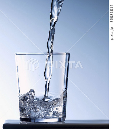 36081812