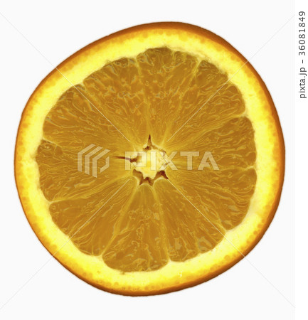 36081849