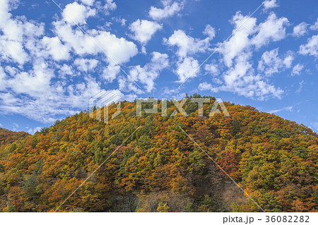 全山紅葉の山と流れ雲 36082282