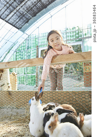 感情 動物 1 36083464