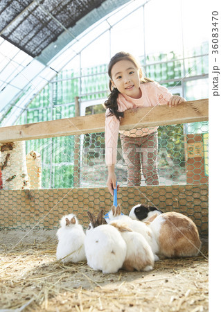 曲がる かがむ 動物園 36083470