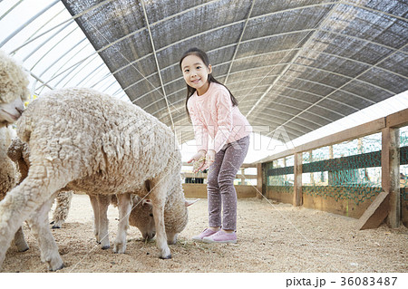 感情 動物 1 36083487