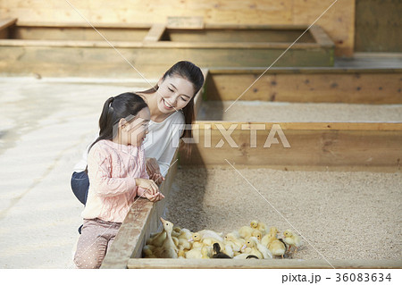 動物園 娘 餌 36083634