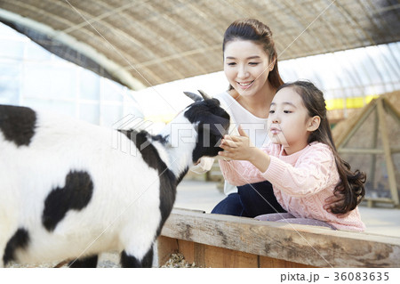 動物 動物園 娘 36083635