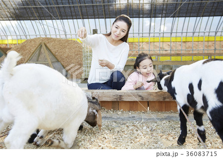 30代 動物 食べさせる 36083715