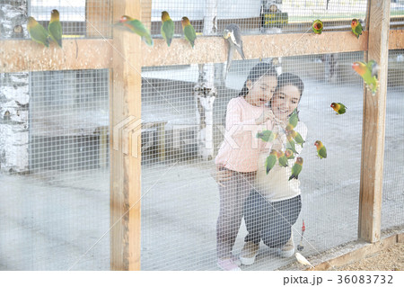 動物園 娘 餌 36083732