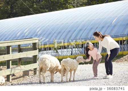 家族 ファミリー 建築 36083741