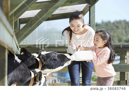 動物園 娘 ボトル 36083746