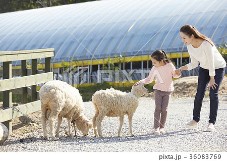 家族 ファミリー 建築 36083769