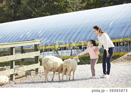 家族 ファミリー 建築 36083873