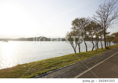 川 河 木 36084305