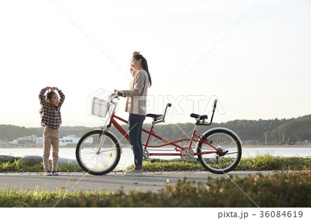 公園 レジャー 散歩 36084619