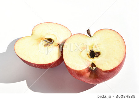 リンゴ（千雪） 36084839