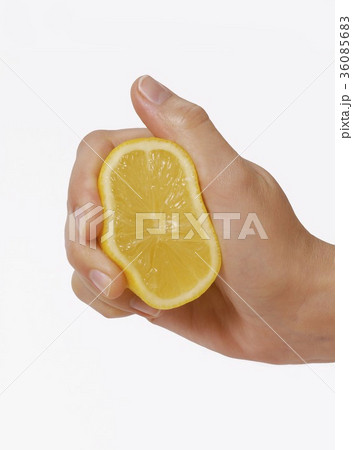36085683