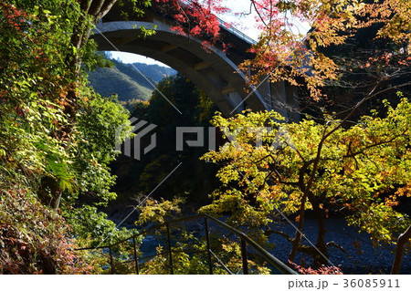 木々の向こう側 木々の向こう側 36085911