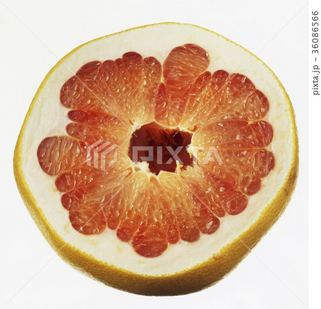 36086566
