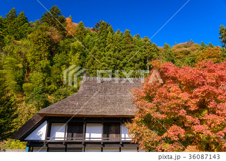 富沢家住宅　国指定重要文化財　（群馬県中之条町） 36087143