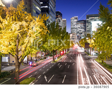 名古屋都市風景 桜通の銀杏並木と名古屋駅ビル群 夜景 交通イメージ 名古屋都市風景 桜通の銀杏並木と名古屋駅ビル群 夜景 交通イメージ 36087905