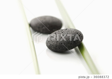 36088372