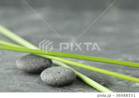 36088551
