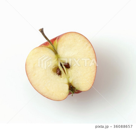36088657