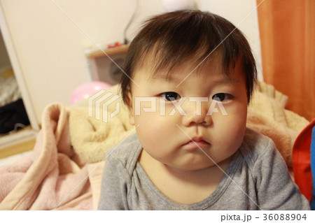 赤ちゃん-7ヶ月 36088904