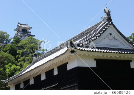 追手門から高知城天守閣を見上げる 36089426