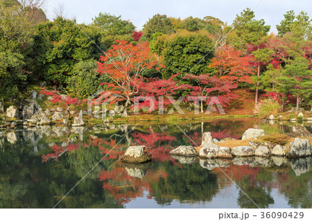 天龍寺　紅葉 36090429