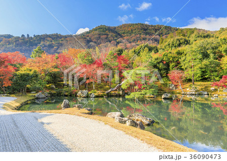 天龍寺　紅葉 36090473