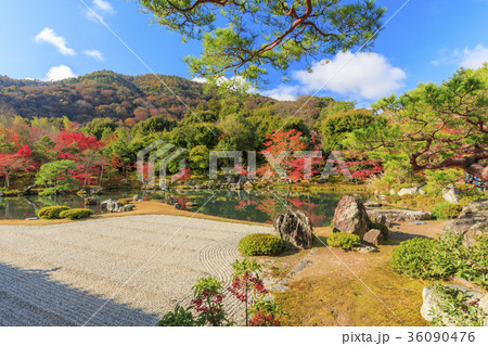 天龍寺　紅葉 36090476