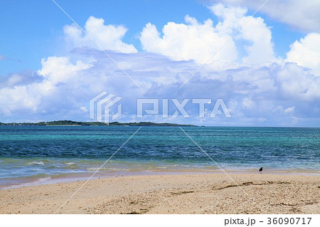 宮古島 大神島の浜 宮古島 大神島の浜 36090717