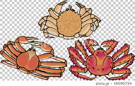 かに かに 36090784