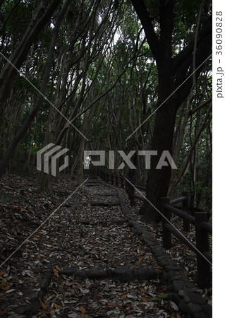 明石公園の晩秋 36090828