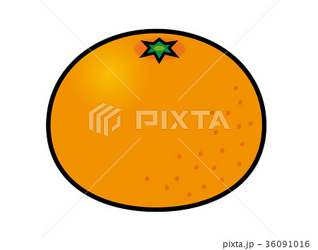 みかん 36091016