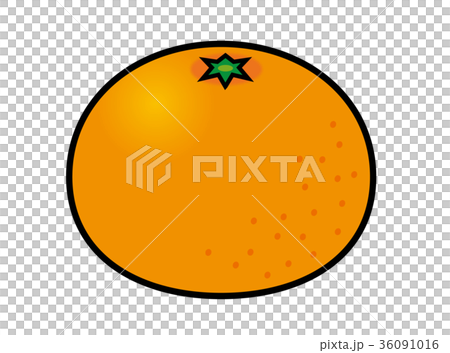 みかん 36091016