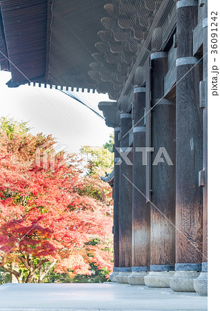 南禅寺三門 36091242