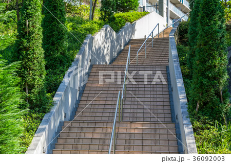 Concrete stairways with tree in Japan Concrete stairways with tree in Japan 36092003