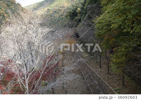 保津峡　保津峡下り　川下り 36092603