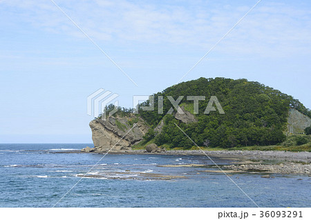北海道のチャシコツ岬の亀岩 36093291