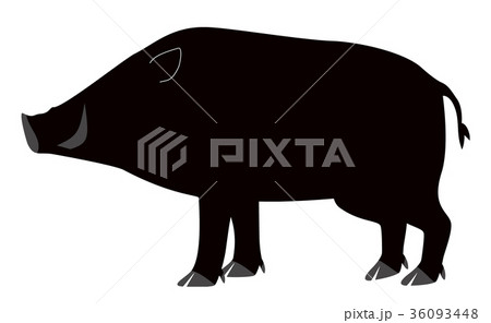 猪のシルエットのイラスト素材 36093448 Pixta