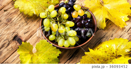 grapes on a tray grapes on a tray 36093452